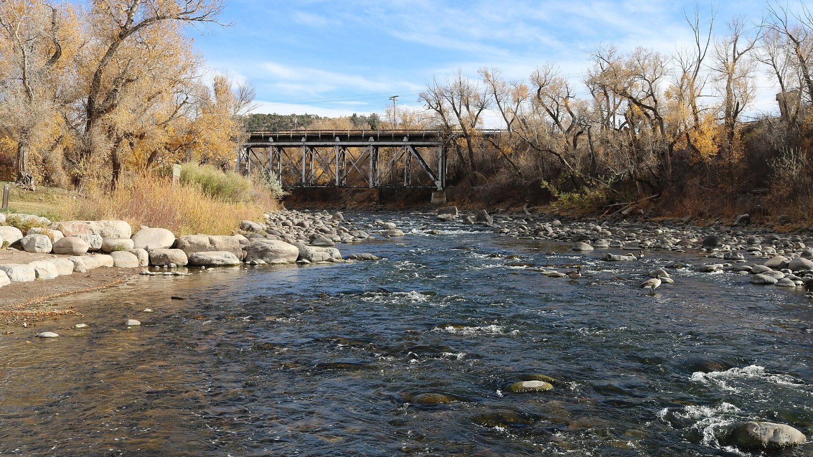 The Eagle River flowing over rocks through Chambers Park in Eagle, with a railroad bridge and autumn cottonwoods behind it.