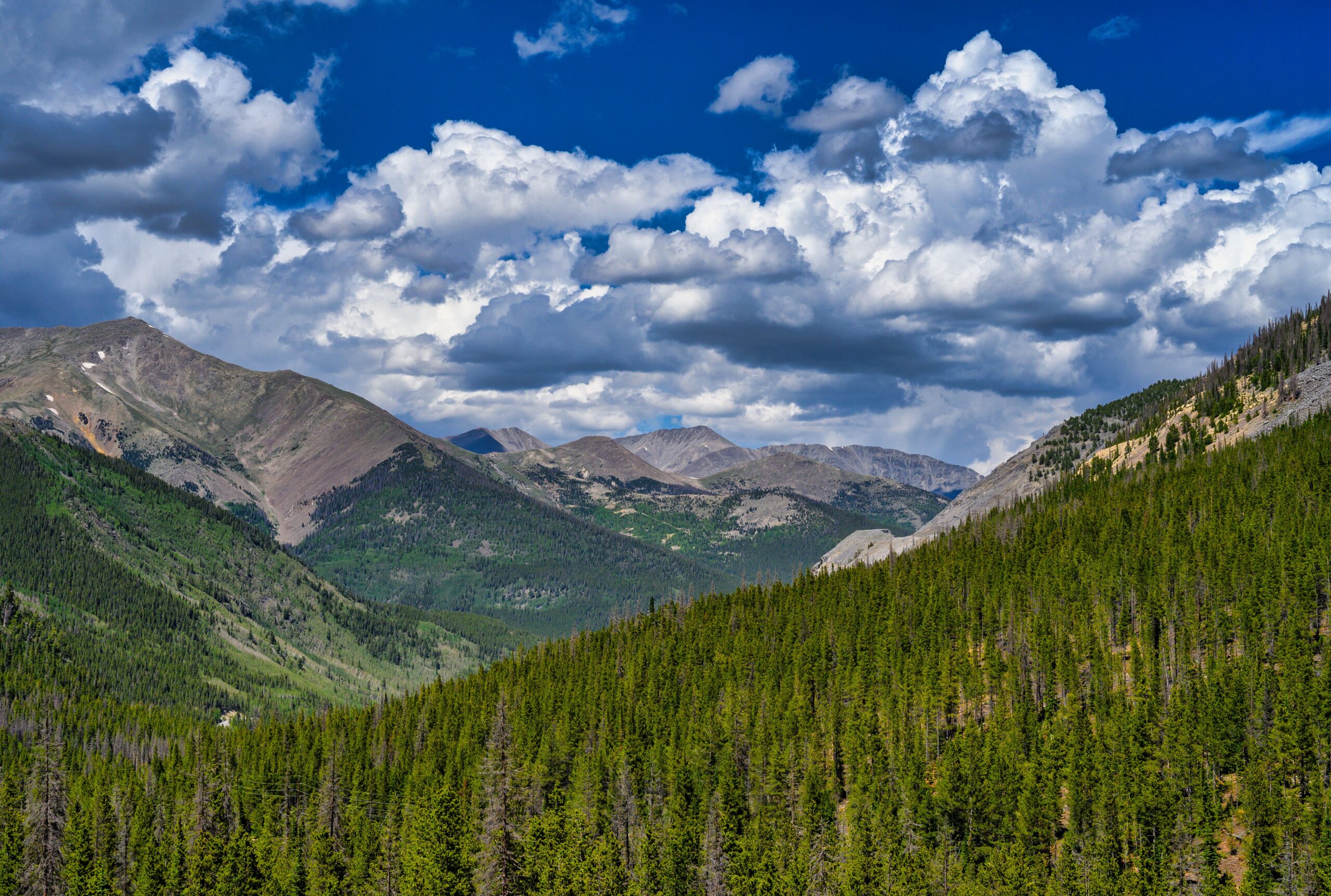 Evergreen-covered mountain slopes beneath rocky peaks and large white clouds.