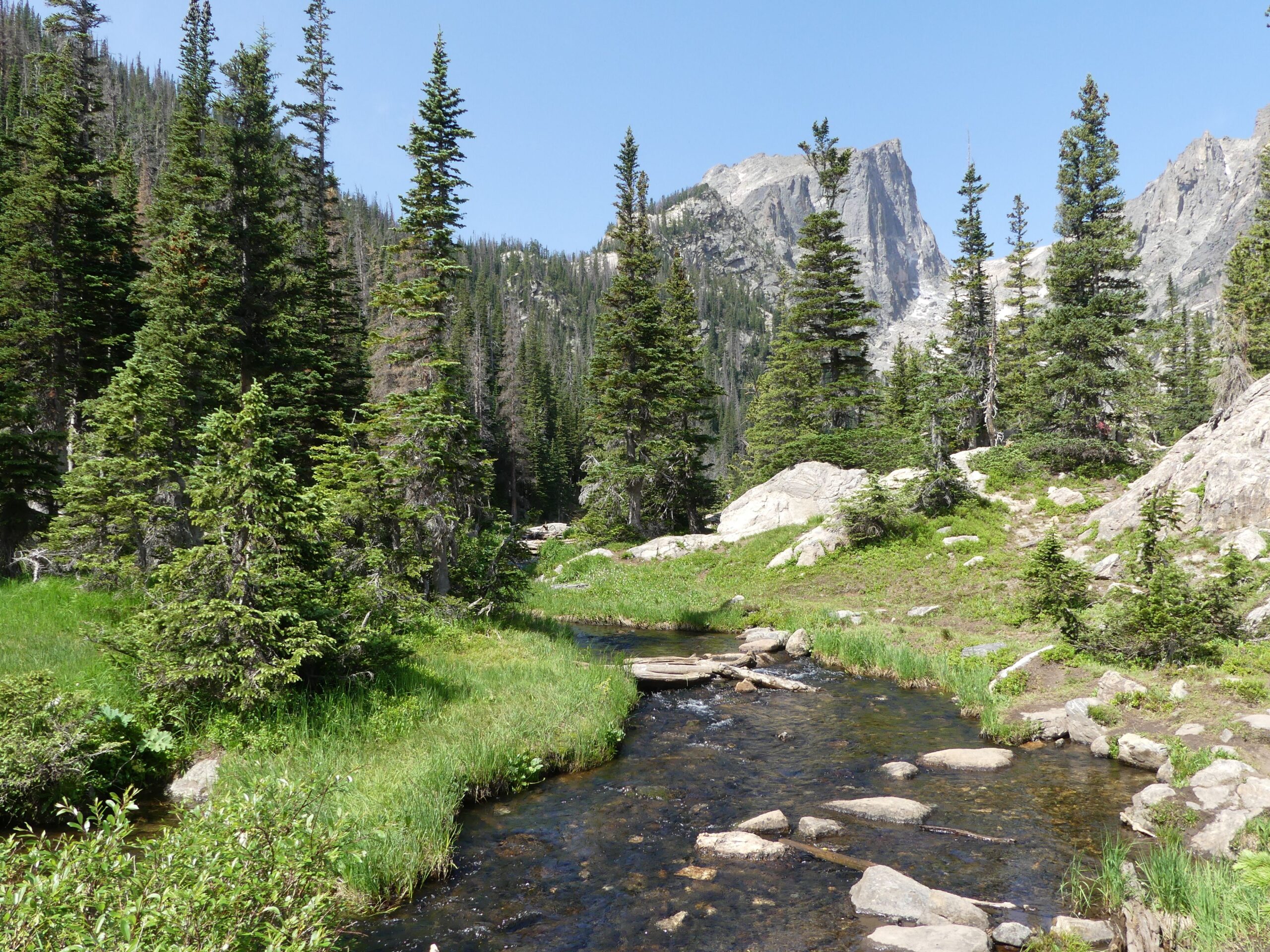 A rocky creek winds through evergreen trees beneath mountain peaks in Rocky Mountain National Park.